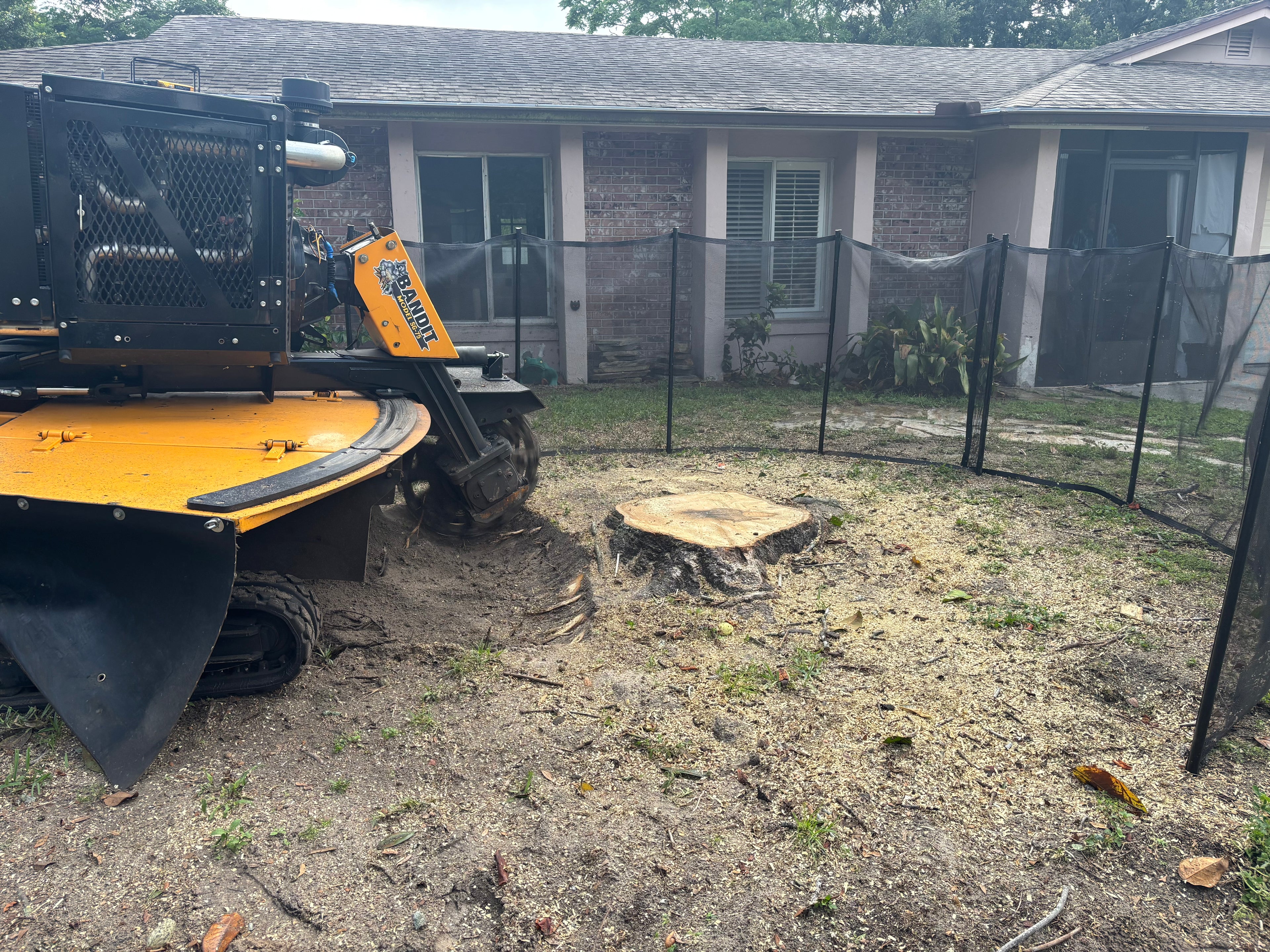 Safety Nets 4' x 12'