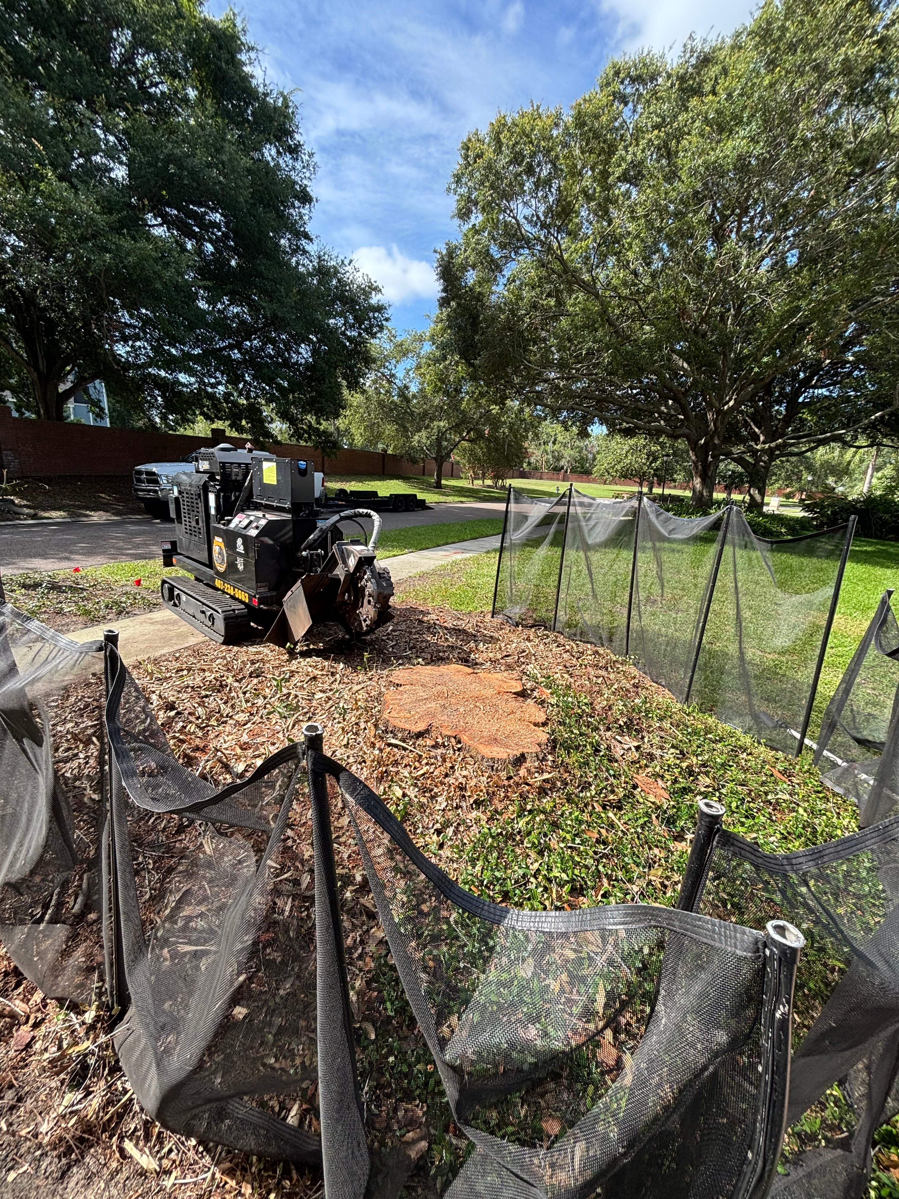 Safety Nets 4' x 12'