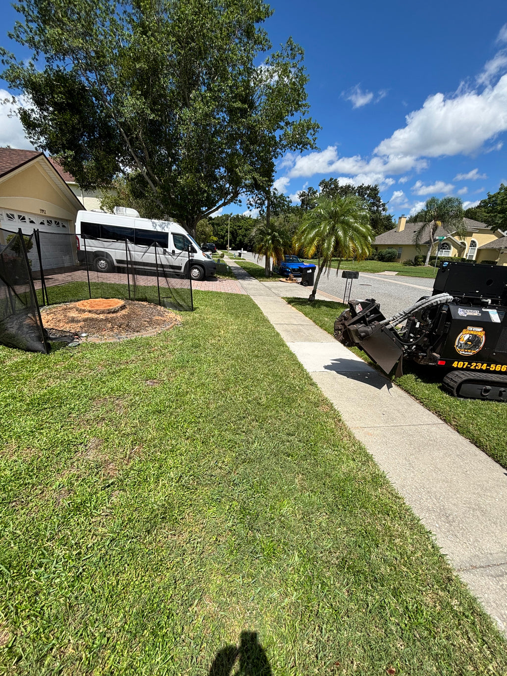 Safety Nets 4' x 12'