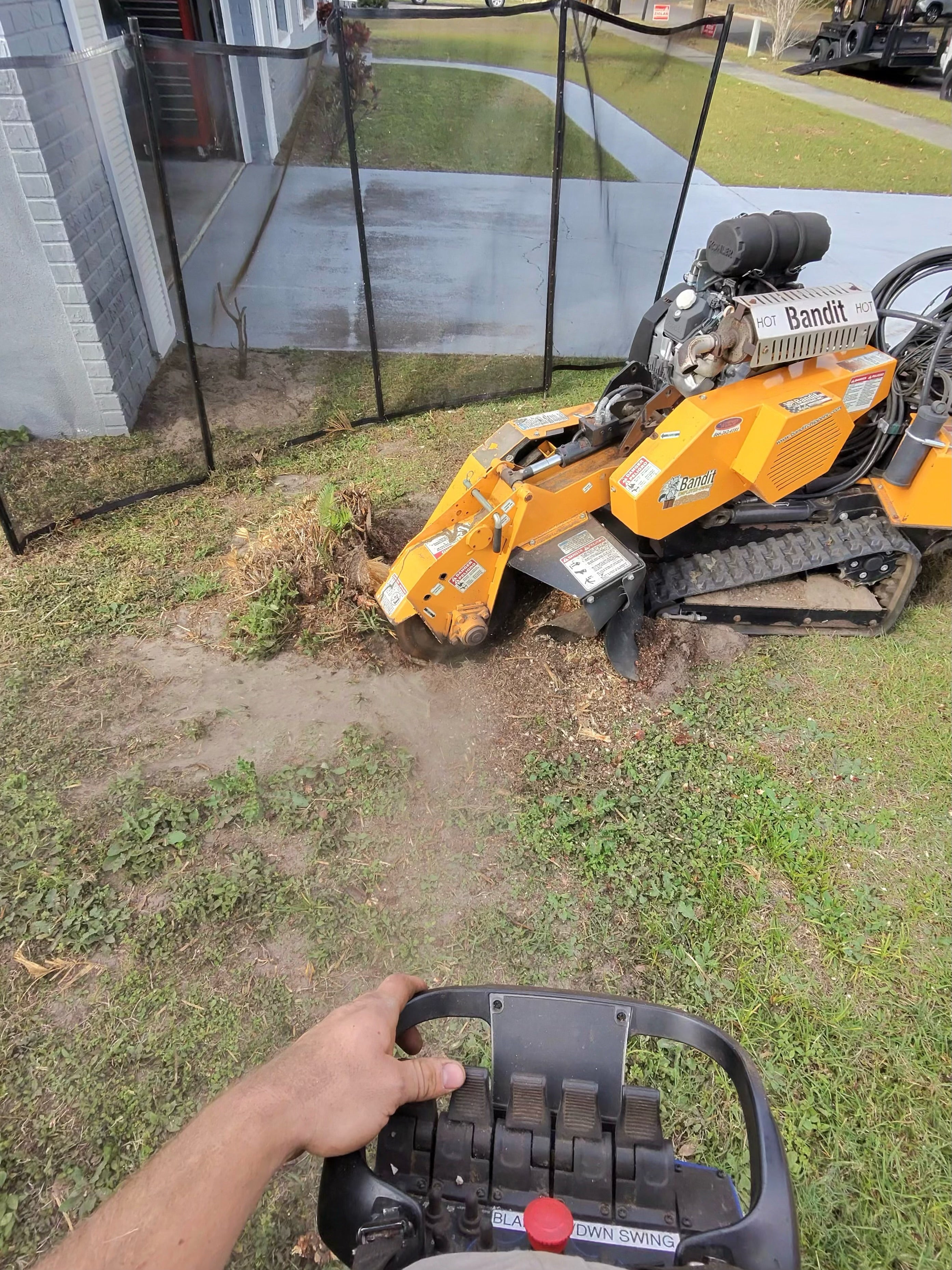 Safety Nets 4' x 12'