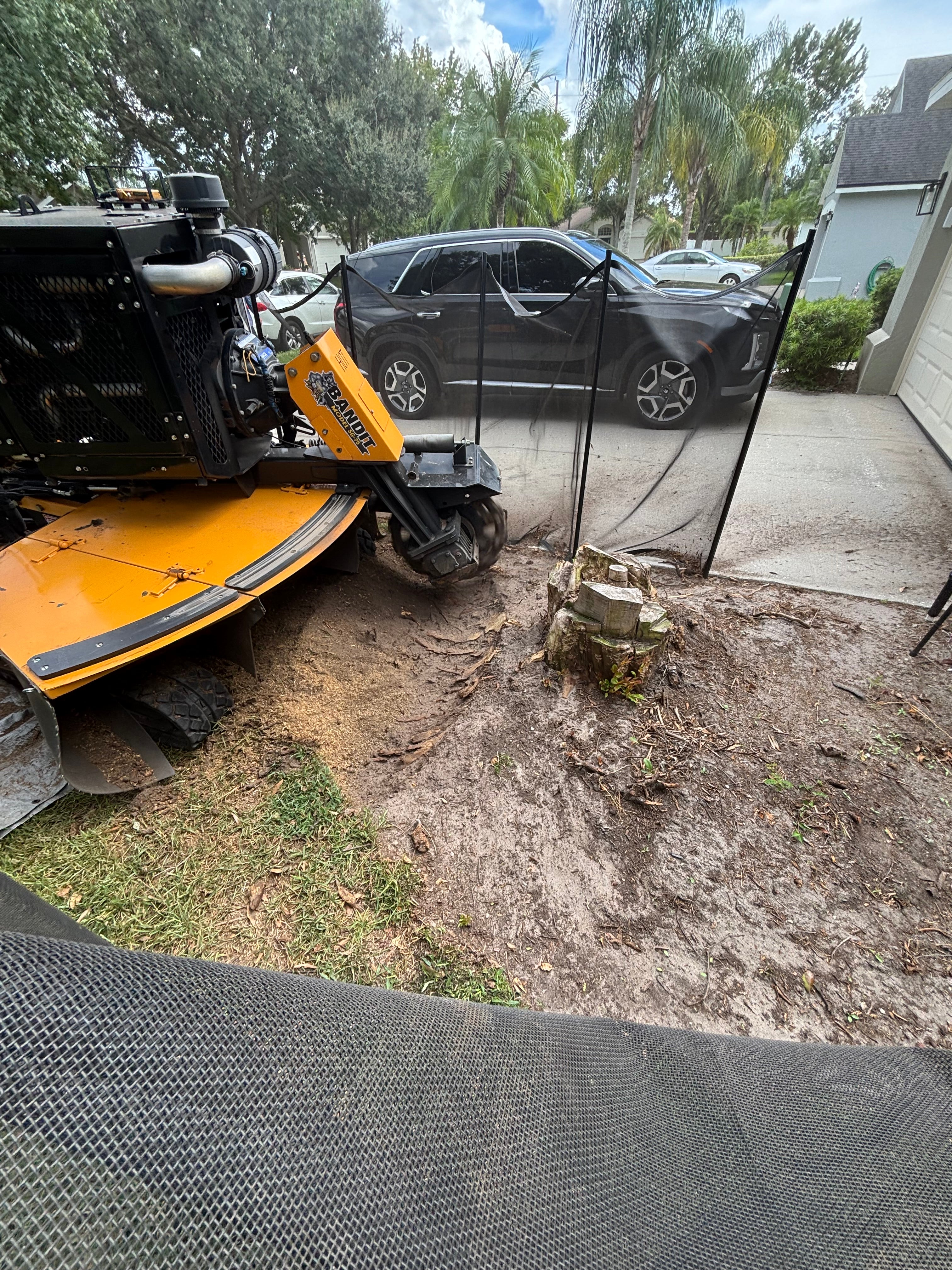 Safety Nets 4' x 12'